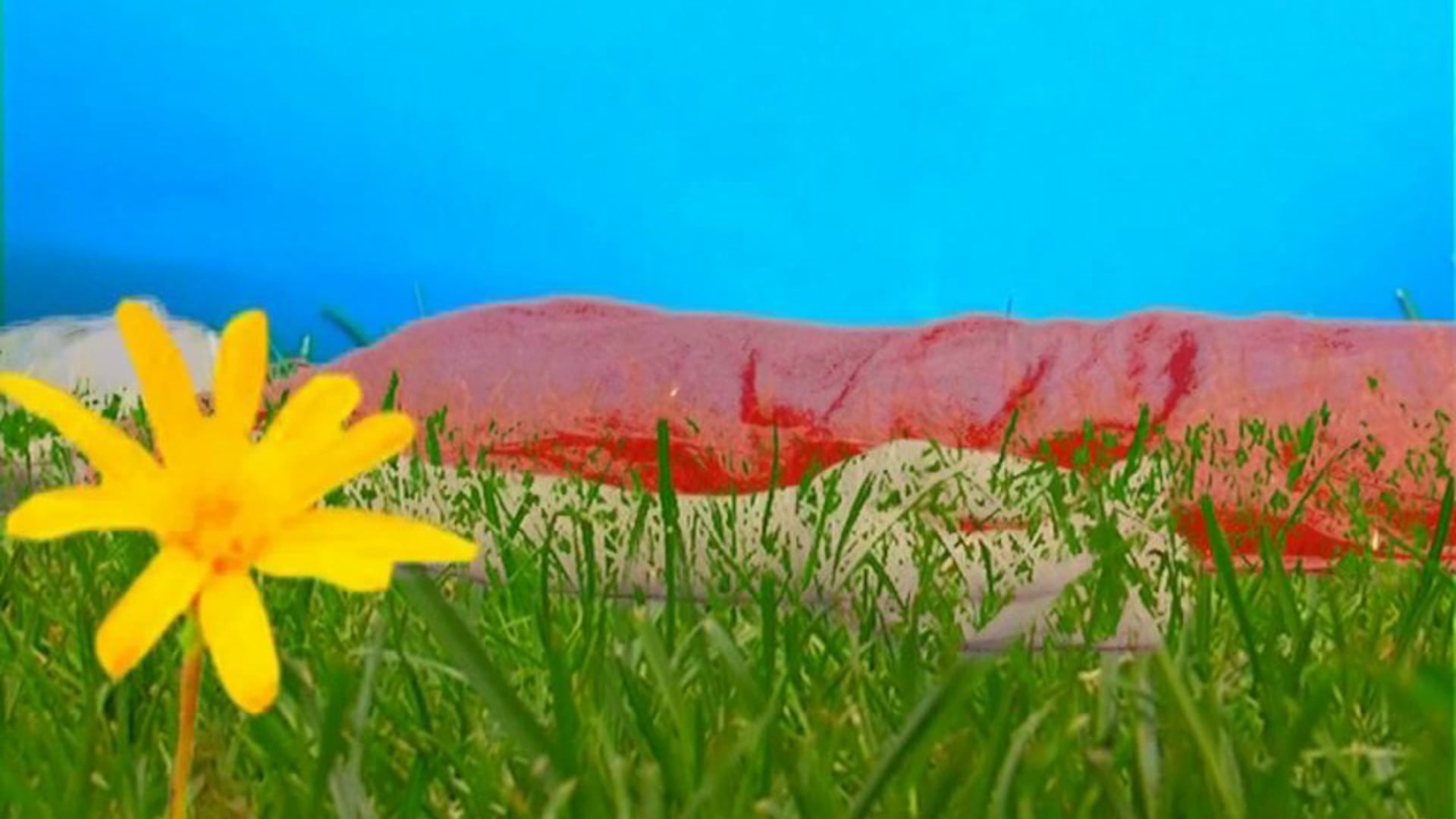 Pomata all'arnica (chi regala le ore agli altri vive in eterno)