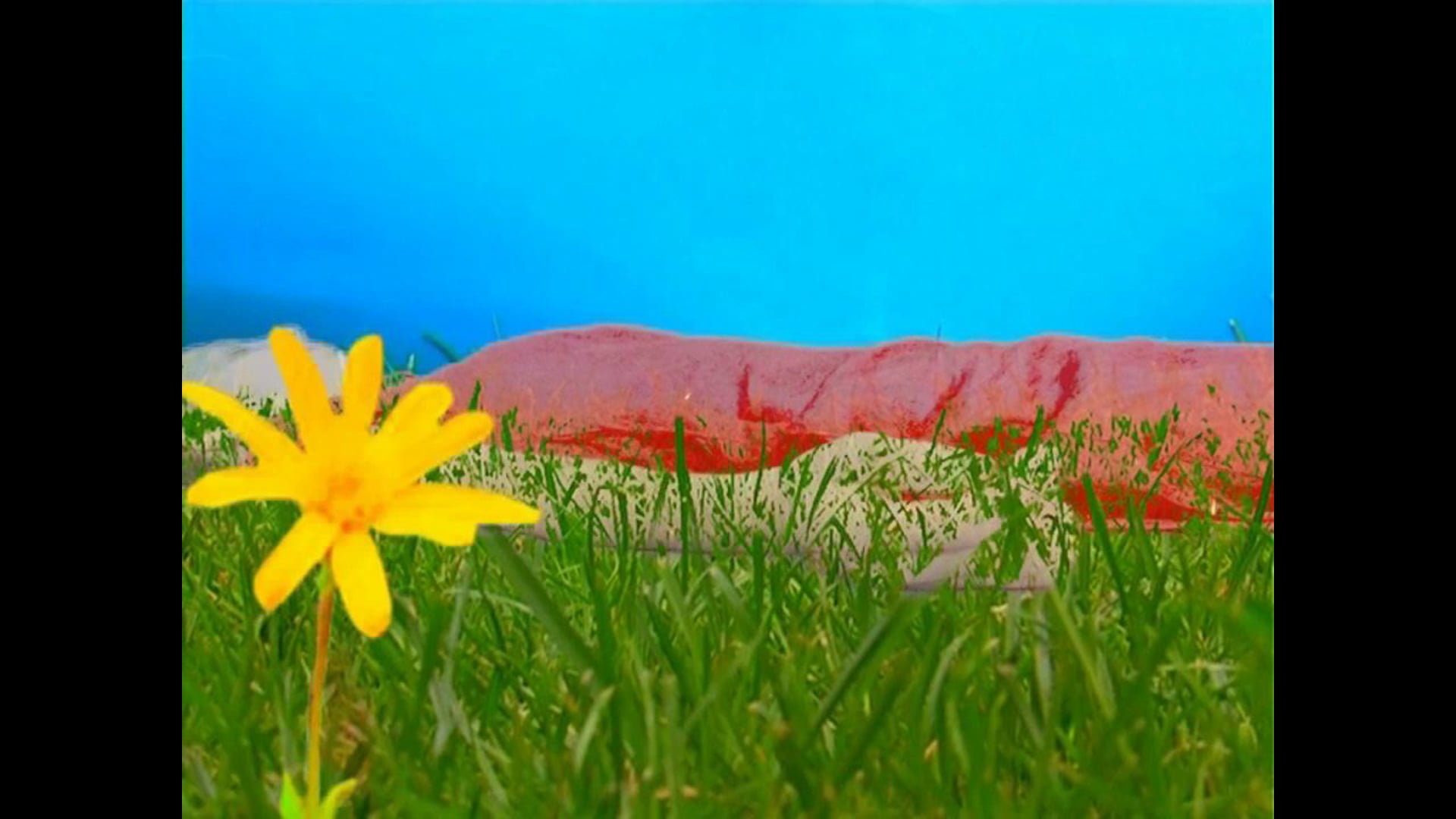 Pomata all'arnica (chi regala le ore agli altri vive in eterno)