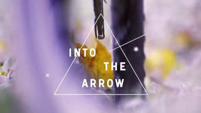 Into The Arrow from Tim Pierce || Director || DOP