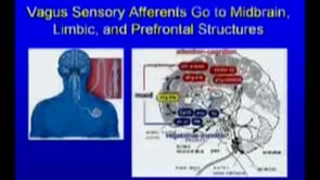 February 5, 2009 - Neurotherapeutic Interventions in Psychiatry