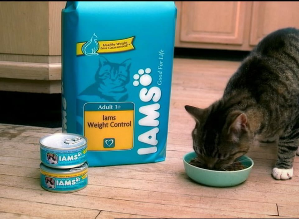 Iams Cat Years on Vimeo