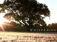 Whisperings