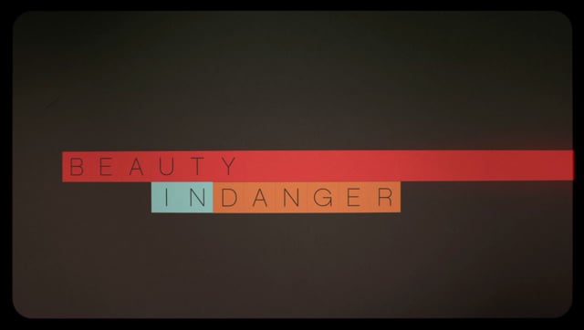 {MK12 Beauty In Danger