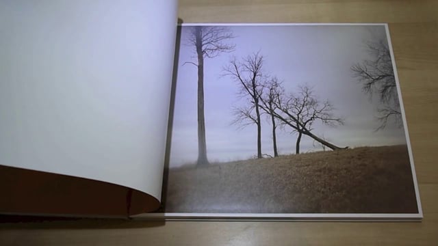 Todd Hido - Excerpts from Silver Meadows