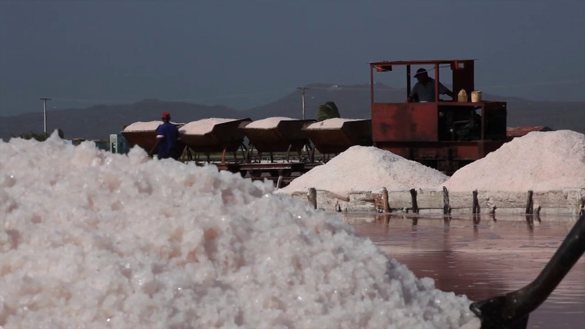 LAS SALINAS
