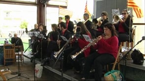 Aplec de la Sardana 2013