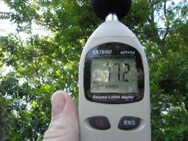 What Is The Loudest Cicada Cicada Mania