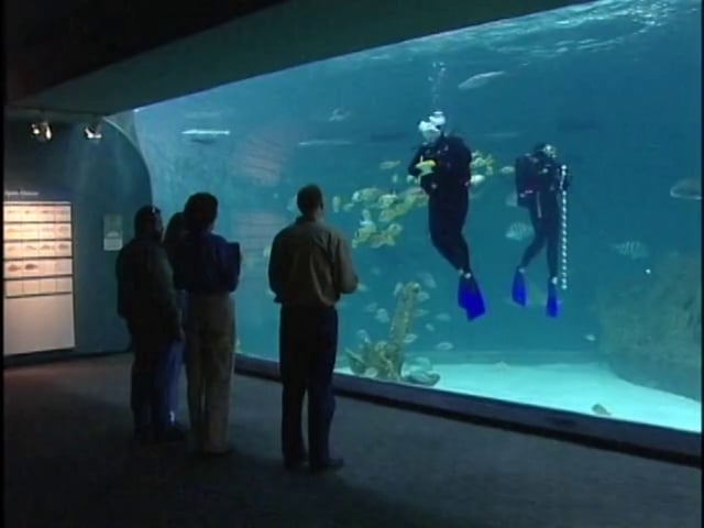 North Carolina Aquarium on Roanoke Island