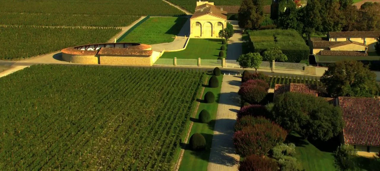 Château Mouton Rothschild face à un océan de vigne