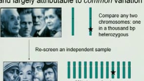 May 4, 2007 - Genome-wide Association: Background and Application to Complex Disease