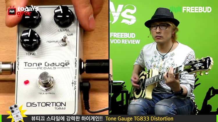 [프리버드]1877회 Todays gear Tone Gauge TG833 Distortion