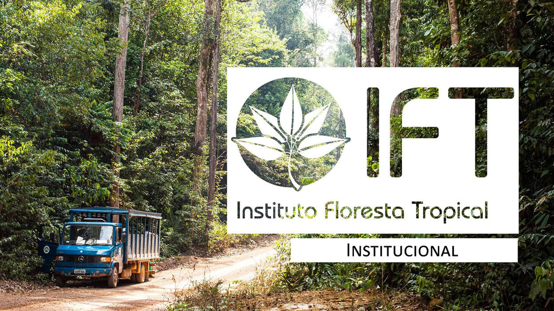 Instituto Floresta Tropical - IFT -  Institucional.