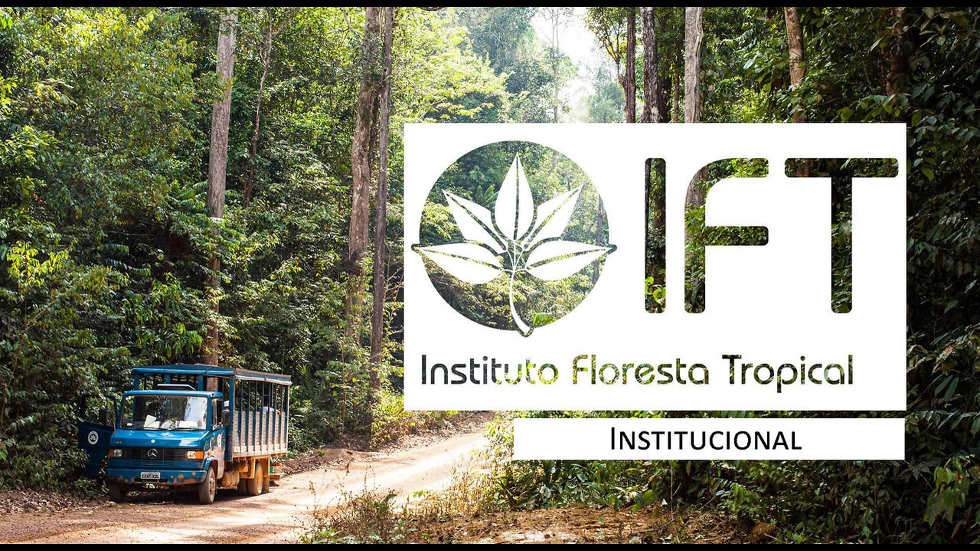 Instituto Floresta Tropical - IFT -  Institucional.