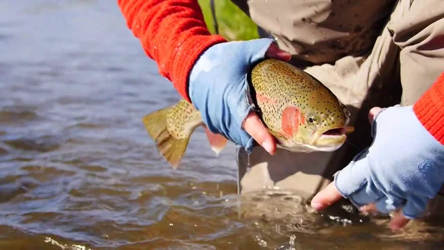 Fly Fishing Video Archives - Headhunters Fly Shop