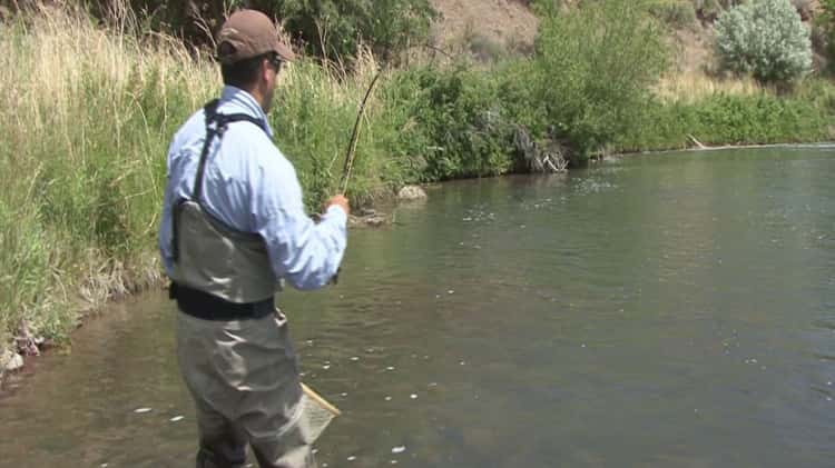 Dry Fly Fishing with a CutThroat Furled Leader on Vimeo