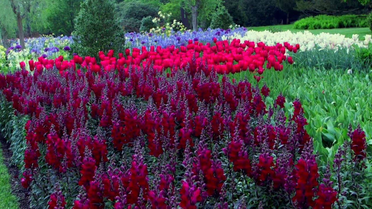 Spring 2013 Longwood Gardens & Chadds Ford PA on Vimeo