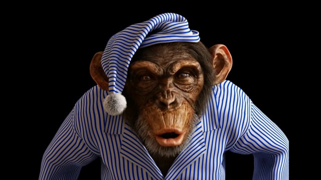 3d chimpanzee 3d animation by catfish