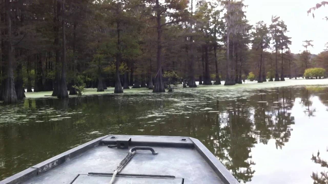 Foster Lake Mississippi on Vimeo