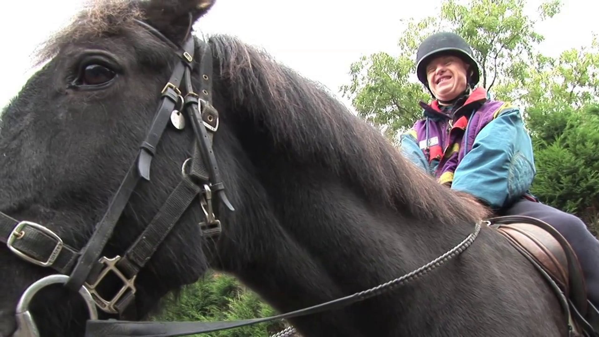 Riding for the Disabled