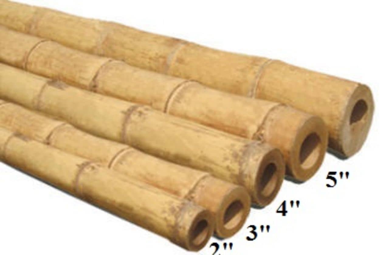 Bamboo Canes Bamboo Poles Arbors Bamboo poles constructionBamboo canepole(Wedding Arbors