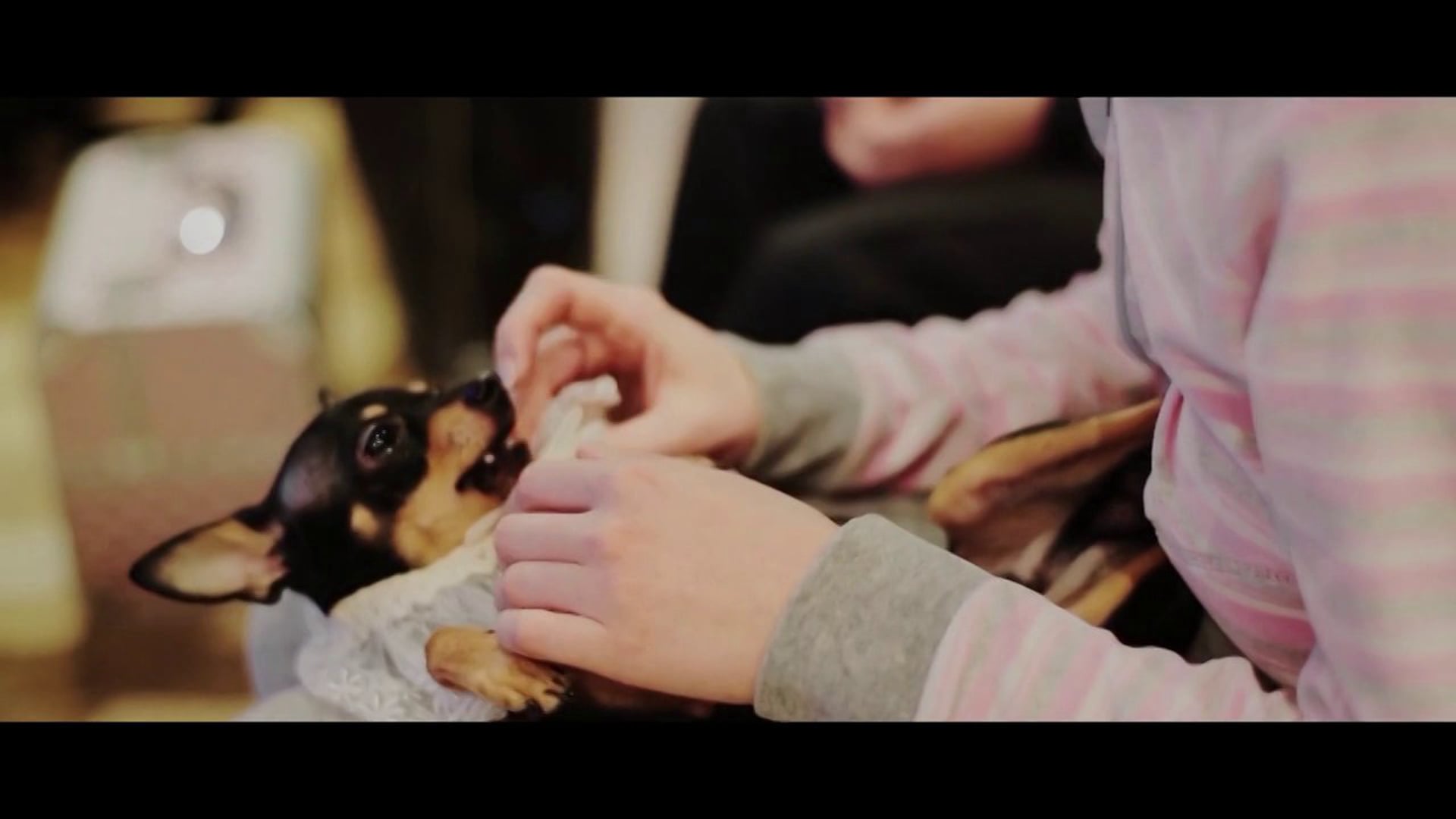 Artem & Ekaterina 25.01.13 the highlights