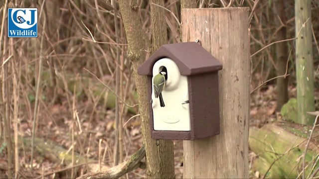 CJ Wildlife Woodstone Seville Nest Box