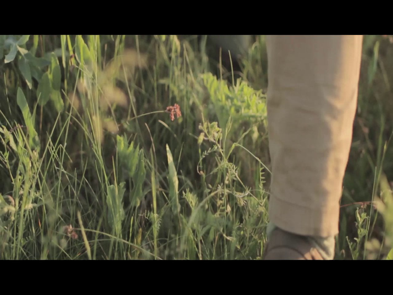 Spring on Vimeo