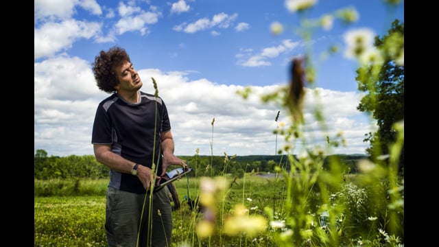 Bug Music: David Rothenberg's Insect Choir