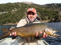 www.lavaguada.cl: The gold and steel trout in Patagonia