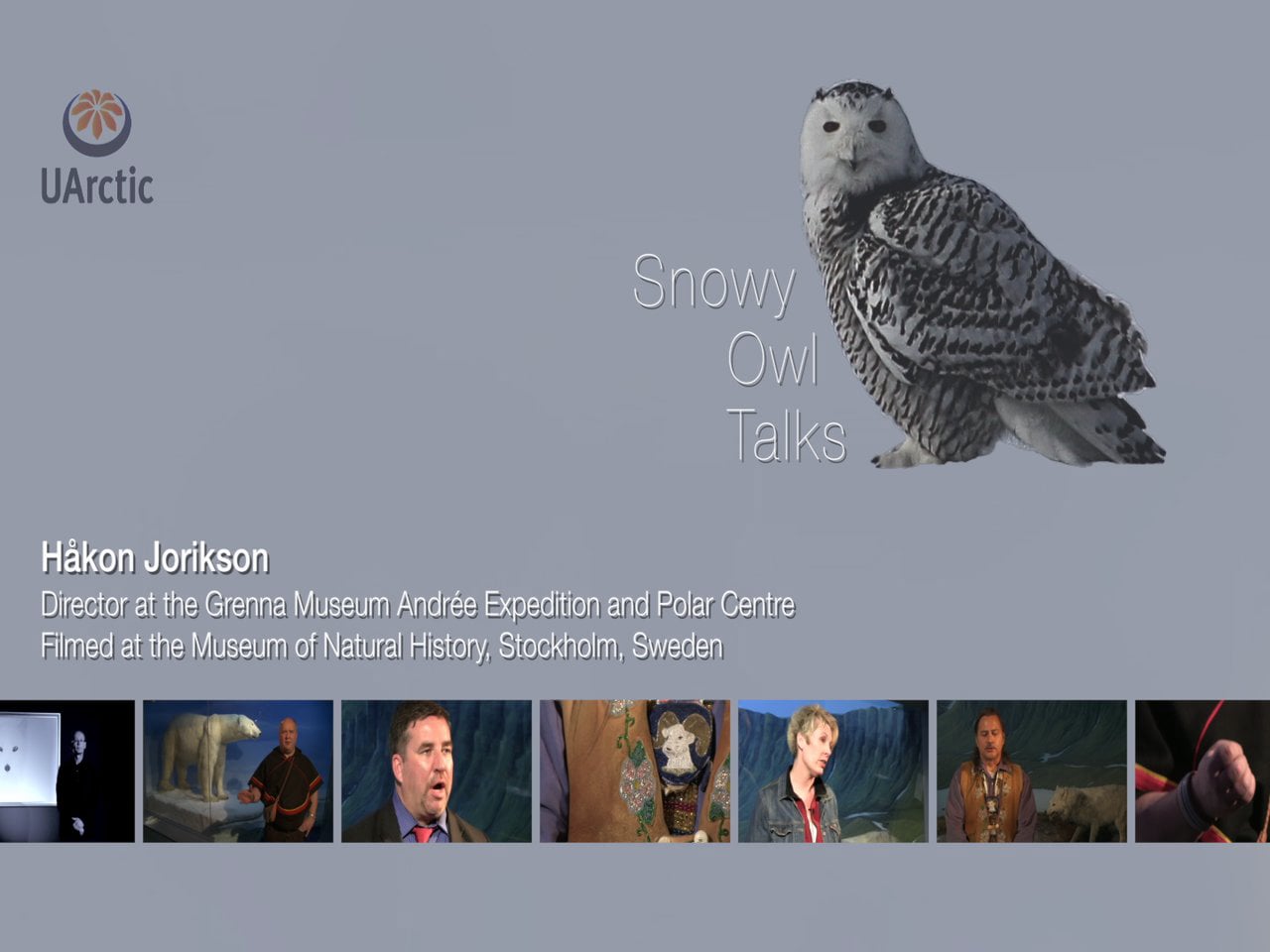 Snowy Owl Talks - Håkan Jorikson