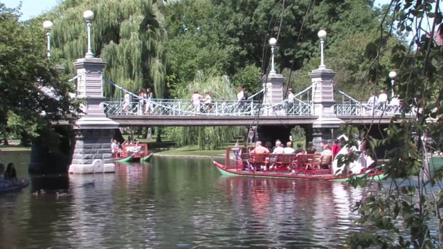 Swan Boats in Boston