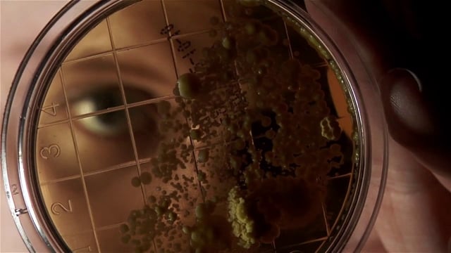 Science Video of the Week! Gym Germs