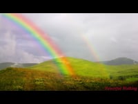 Sample Video