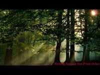 Sample Video