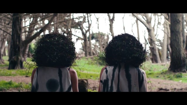 Kacey Johansing - Pinecone thumbnail