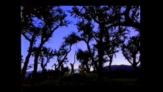 deVine Voices English with Native German accent Male Voiceover Toyota MR2 Commercial