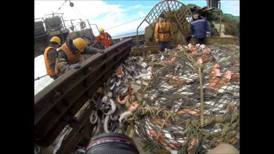 Aboard a Cod Trawler in the Barents Sea on Vimeo