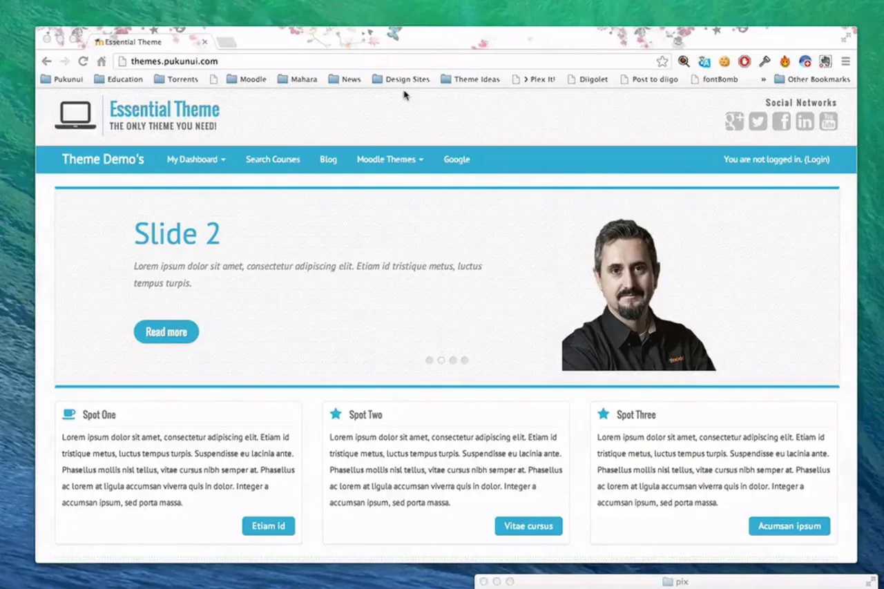 Essential Theme Overview on Vimeo