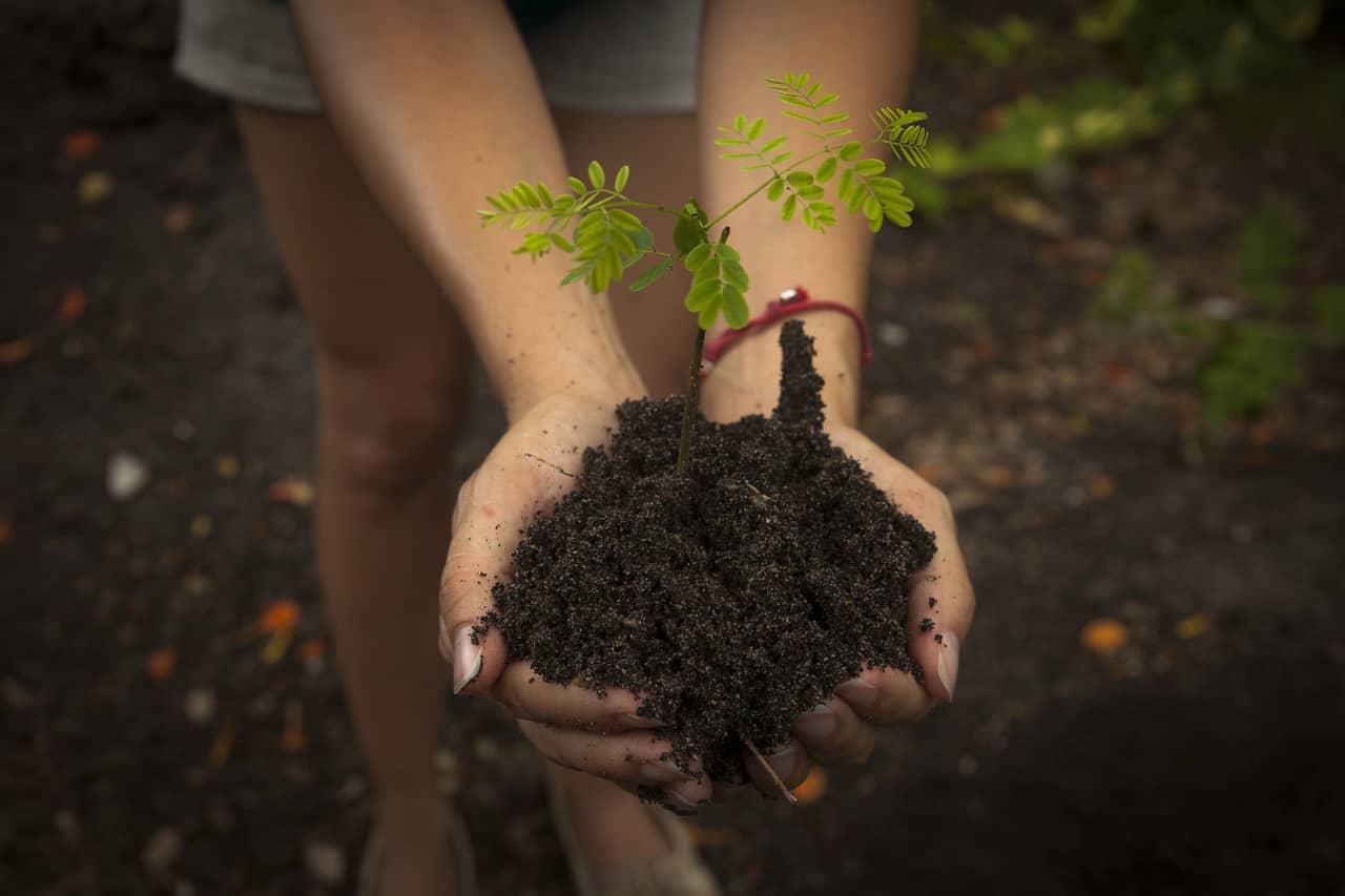 Fertile Earth Foundation Composting DIY on Vimeo