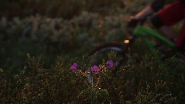 Vino Velo – Scandinavian Video Challenge from Token Creative