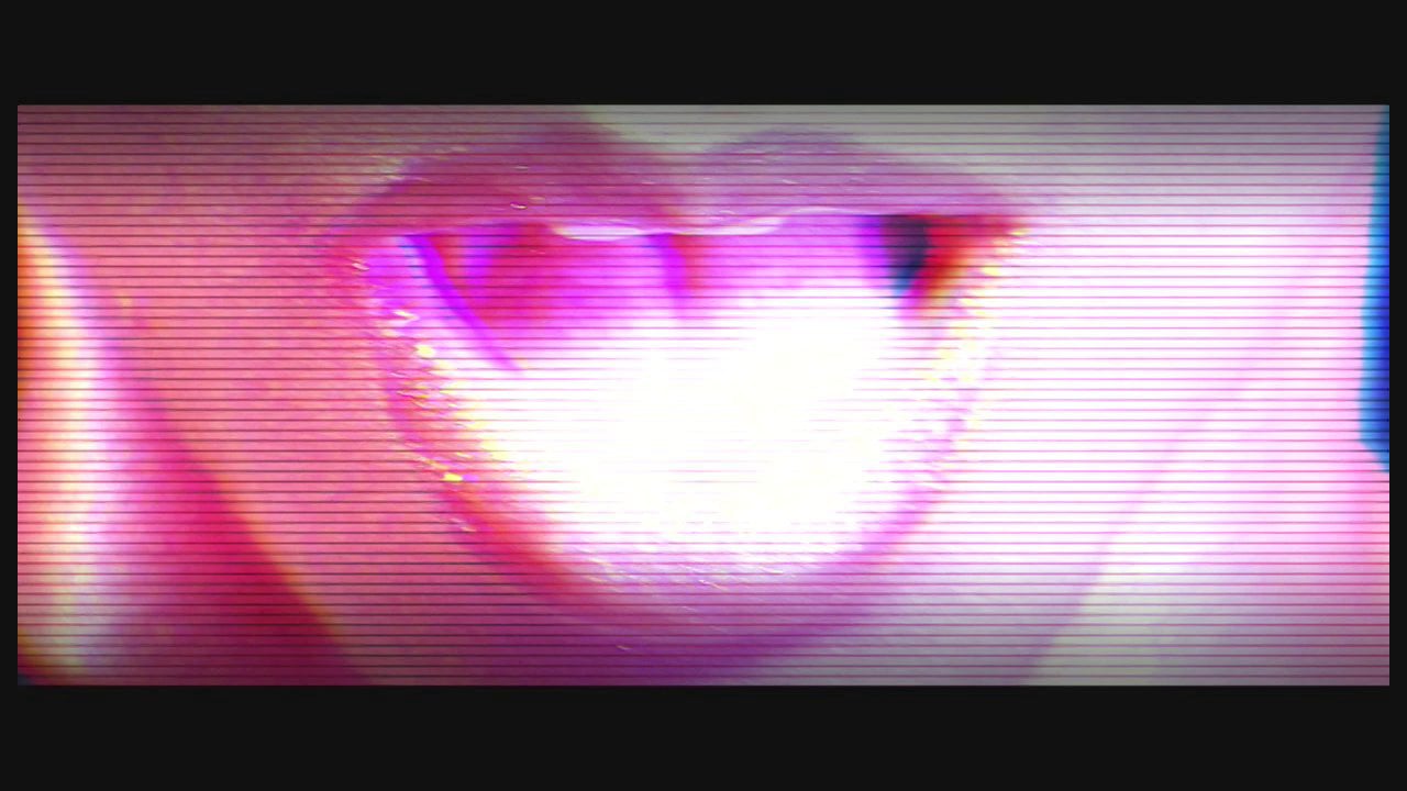 D. Woods - "Legalize Me"