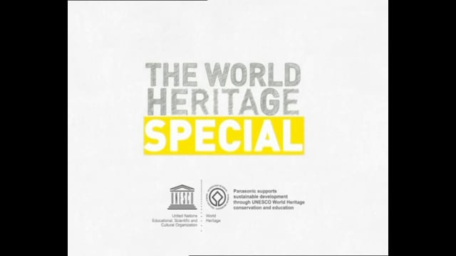 deVine Voices Native Russian Male Voiceover Panasonic World Heritage