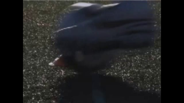 deVine Voices Native Russian Male Voiceover Nike Commercial