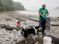 One Minute with the Evergreen Shellfish Club