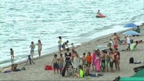 Tanquen les platges d'Empúries per un avís de tauró