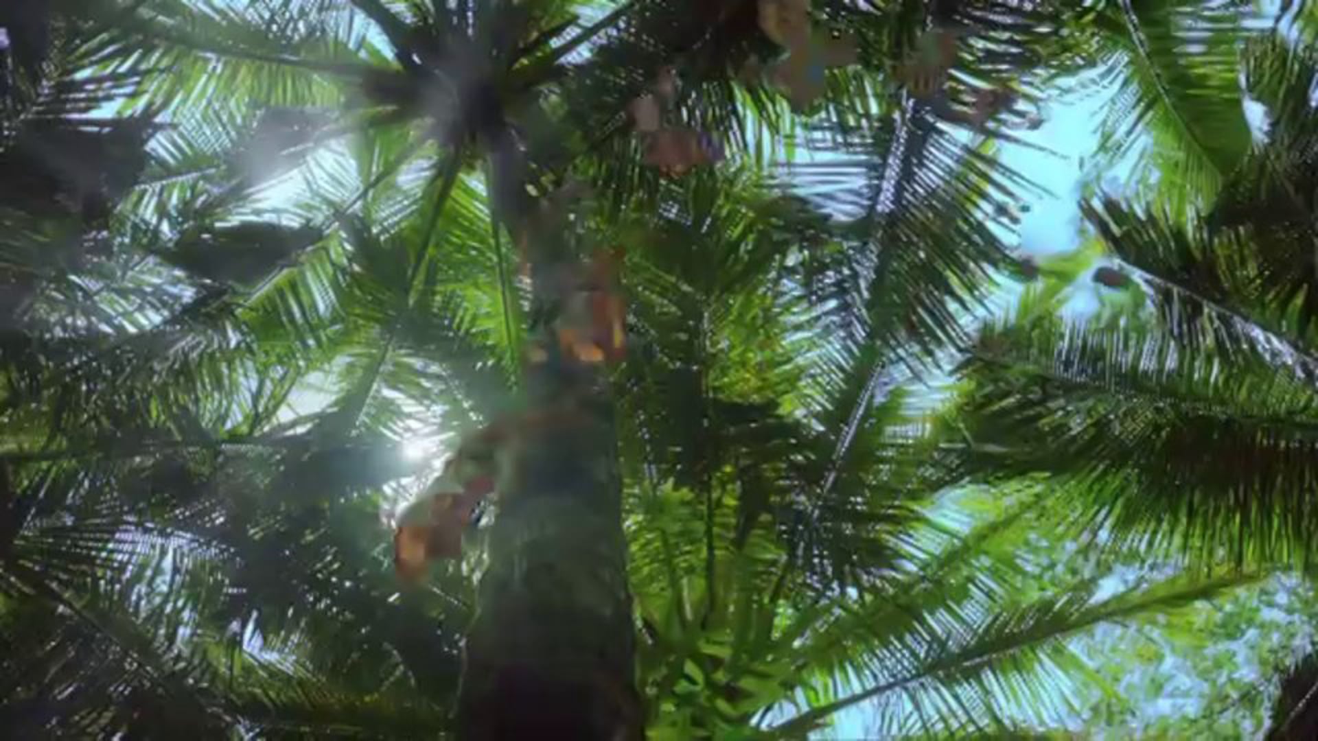 Aulani  Imagine TV spot