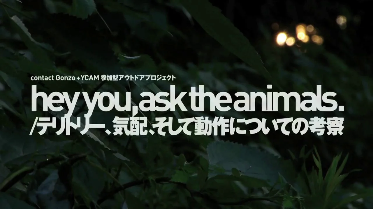 contact Gonzo + YCAM "hey you, ask the animals. / studies on territories and movements." Teaser  