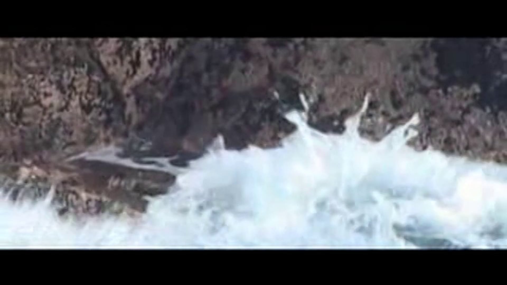 Mackenzie State Park - Love | Earth | Sea