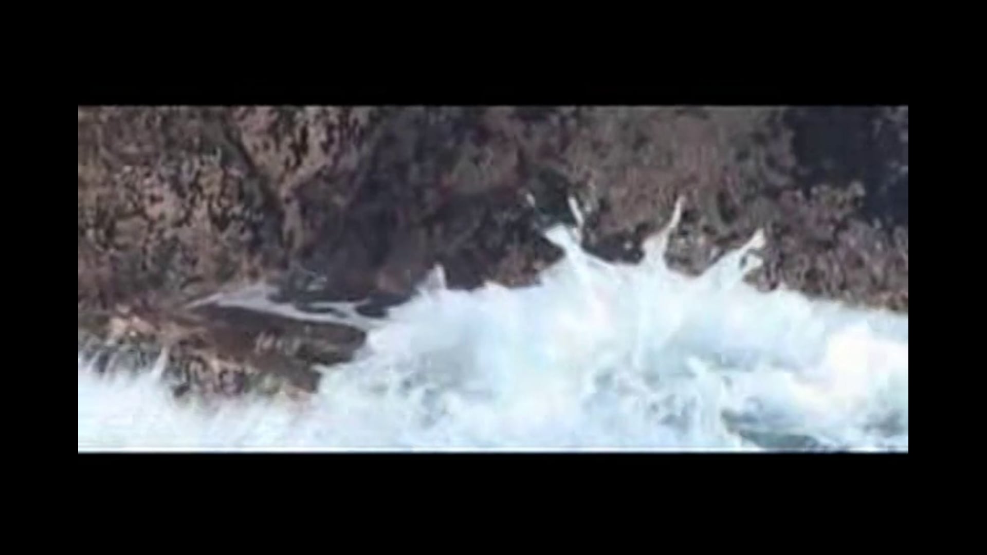 Mackenzie State Park - Love | Earth | Sea