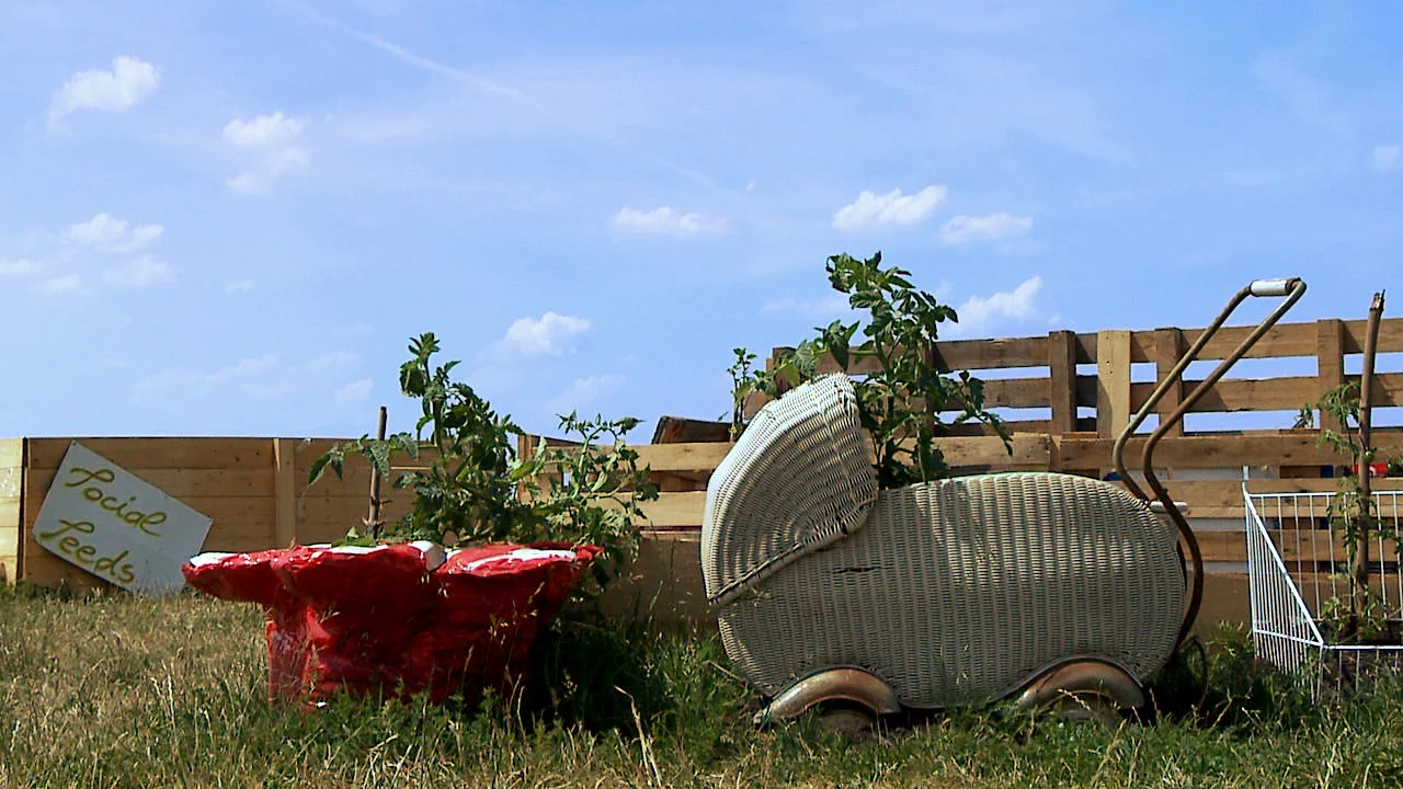 Die Blumen machen den Garten, nicht der Zaun on Vimeo